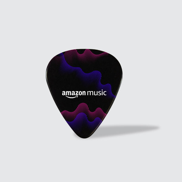 AM Guitar Pic